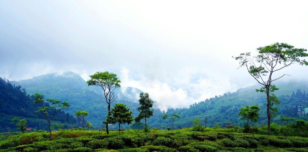 Explore the Serenity of the Hills: Gangtok, Darjeeling, Pelling Tour